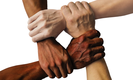 Buddy program